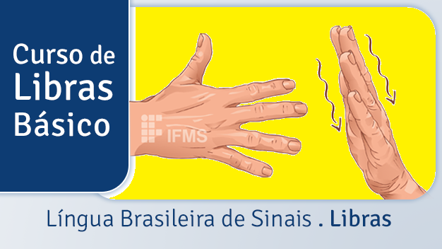 Libras Básico - Turma 2025.2